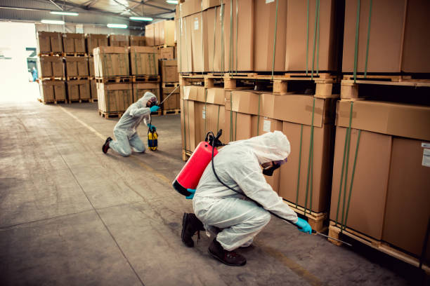 Best Rat Extermination Near Me  in Mountainside, NJ