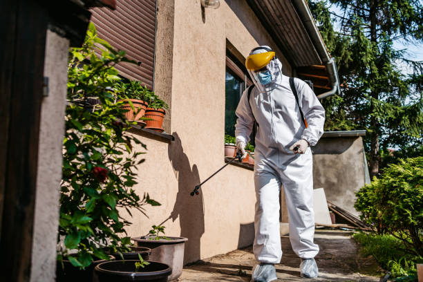 Best Bird Control  in Mountainside, NJ