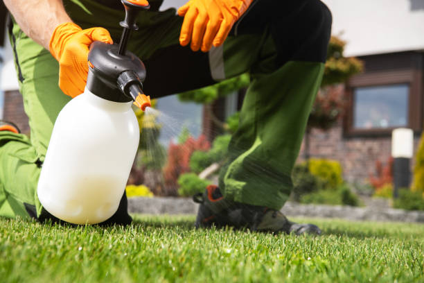 Best Residential Pest Control  in Mountainside, NJ