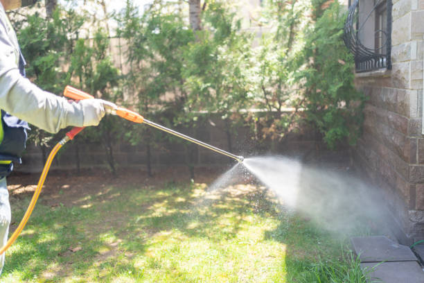 Best Termite Control Services  in Mountainside, NJ