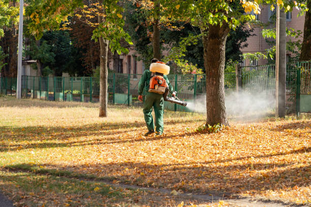 Best Flea Control Services  in Mountainside, NJ