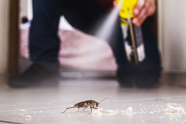 Best Bed Bug Extermination  in Mountainside, NJ