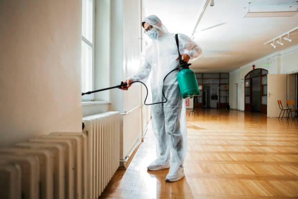 Best Best Pest Control Companies  in Mountainside, NJ