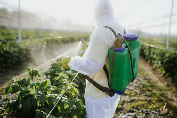 Wildlife Control Services in Mountainside, NJ